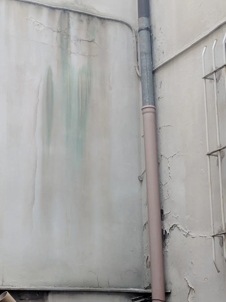 Decay — 19