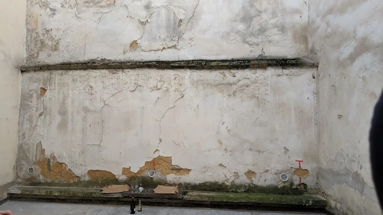 Decay — 15