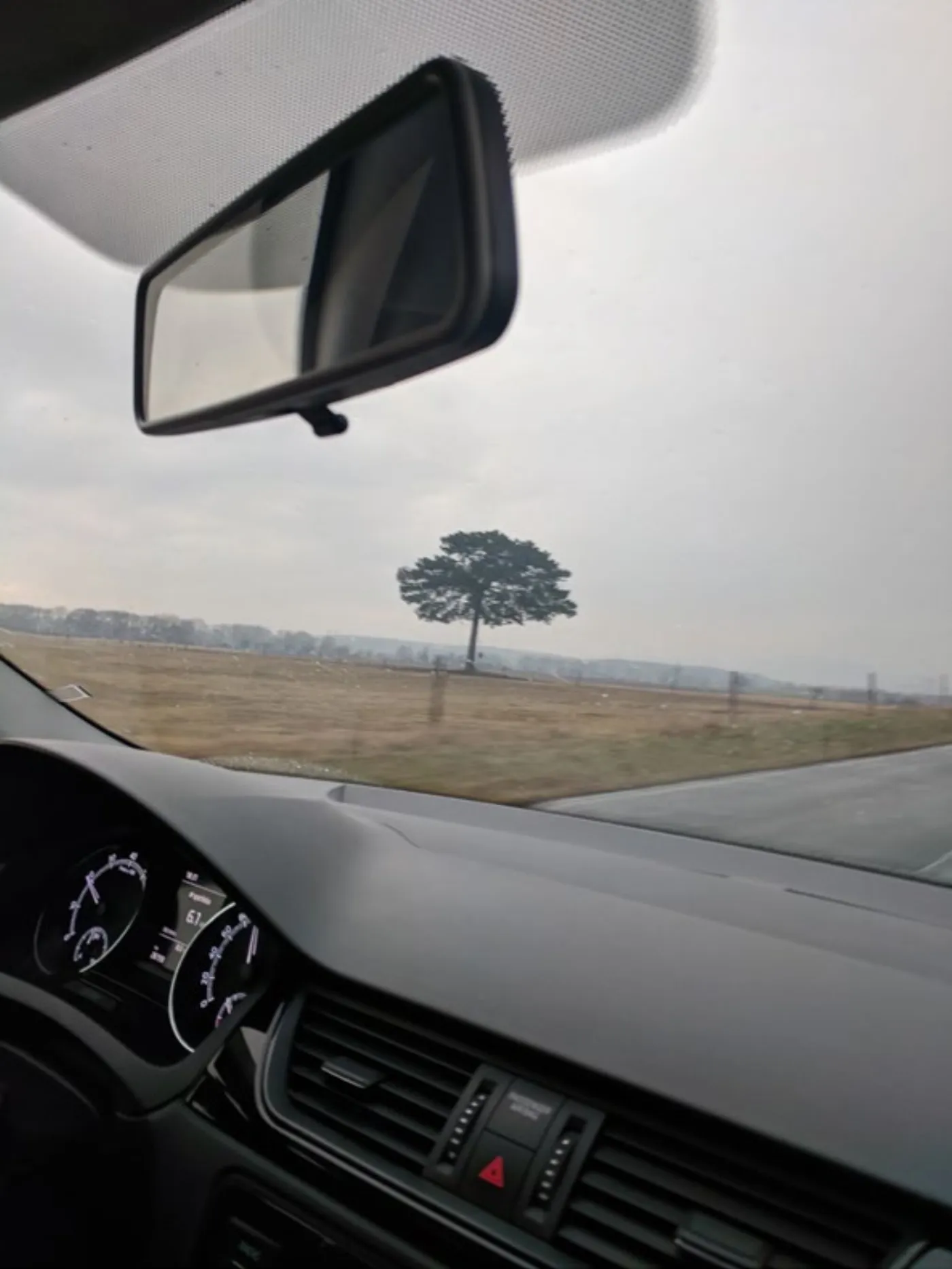 Landscape — 134