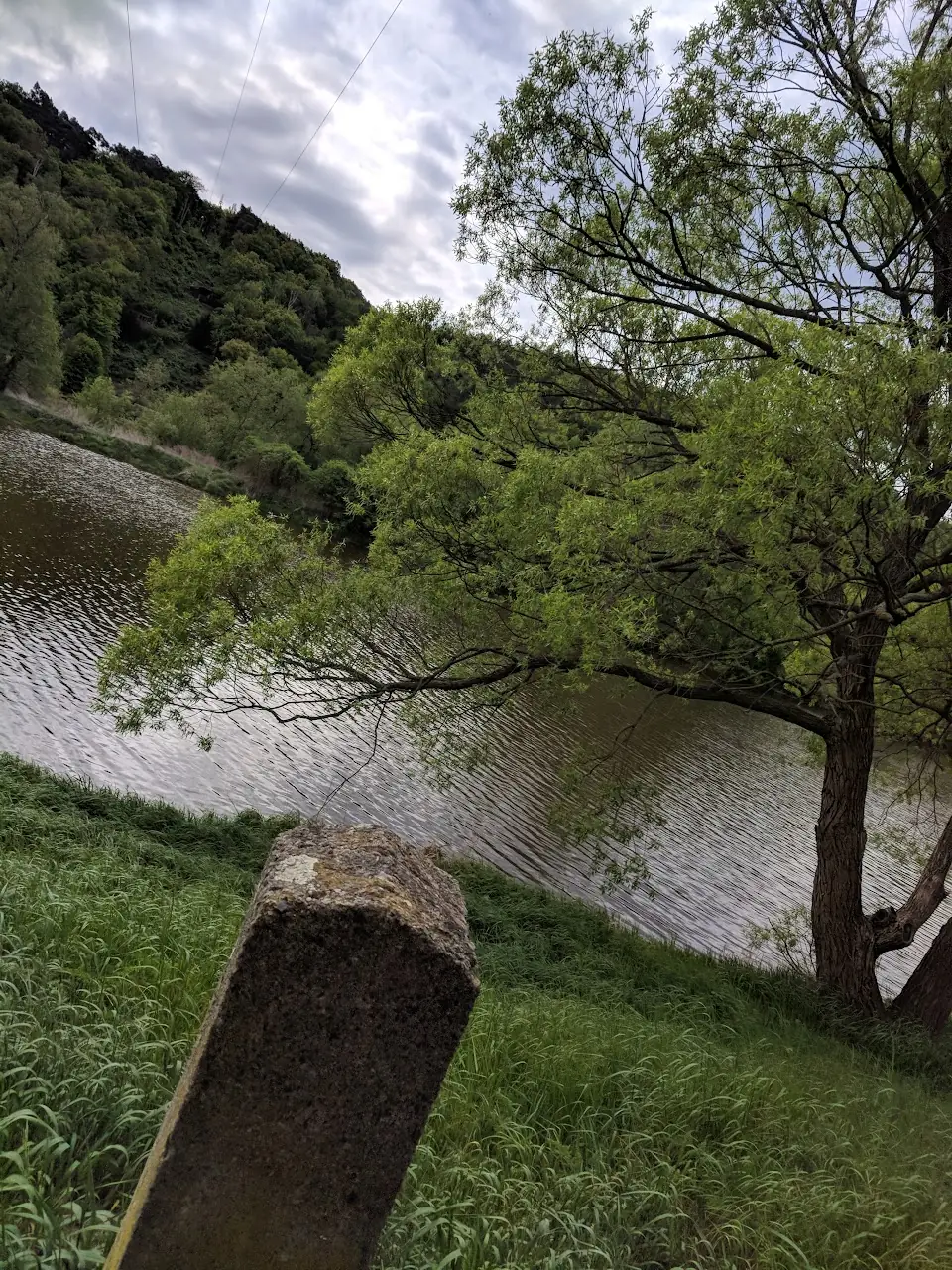 Landscape — 83