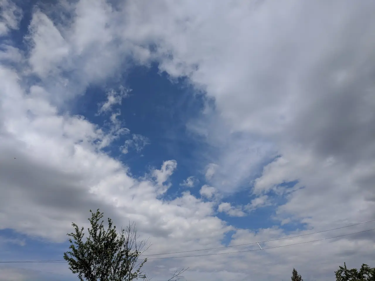 Landscape — 81