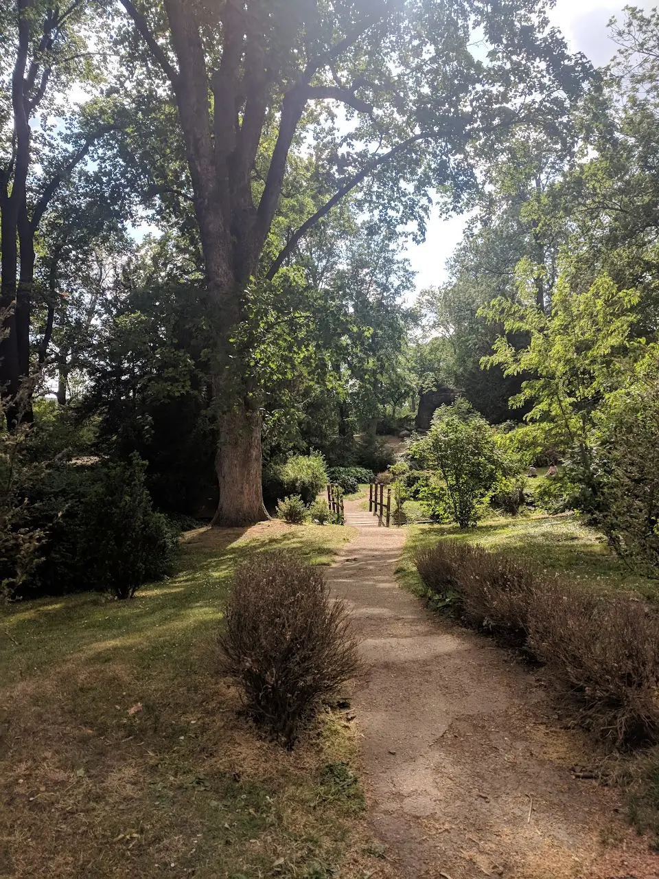 Landscape — 57
