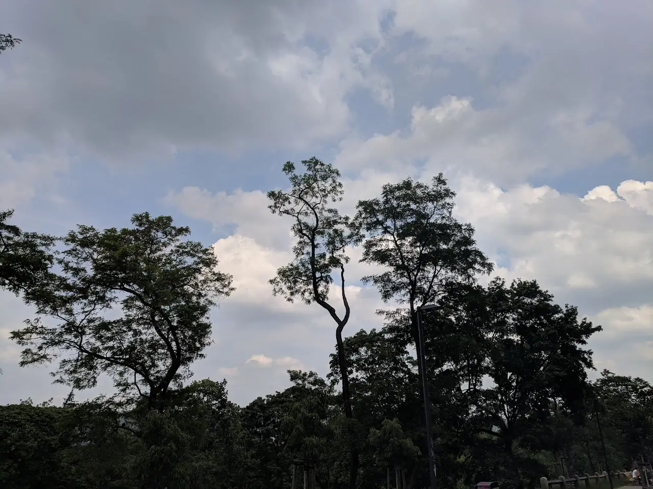 Landscape — 45