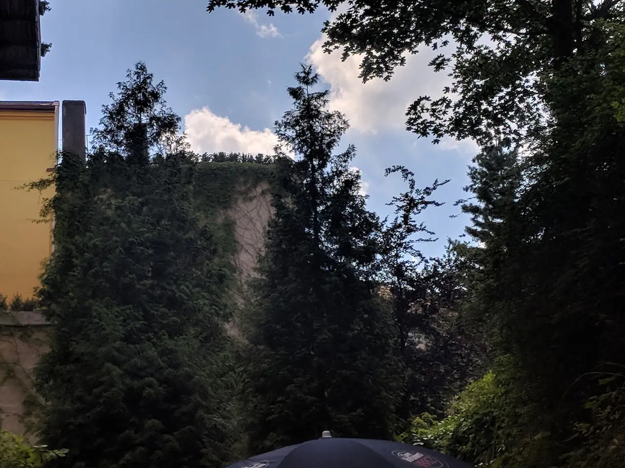 Landscape — 43