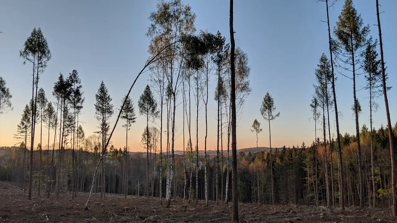 Landscape — 35