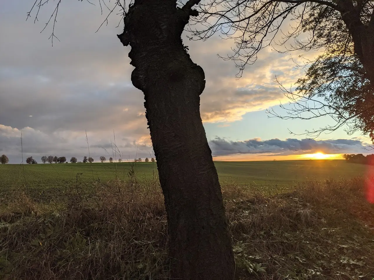Landscape — 29