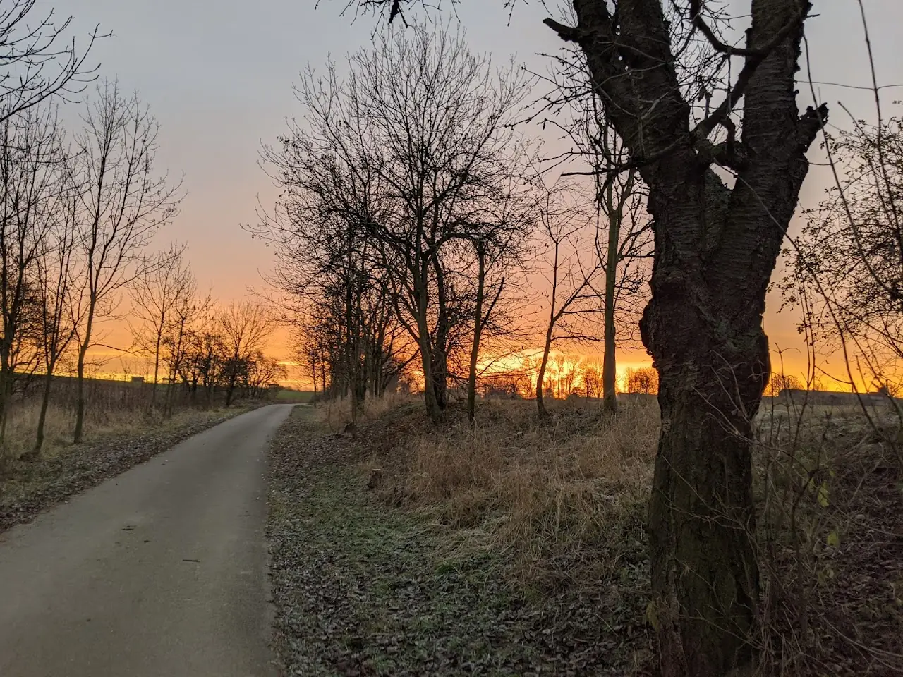 Landscape — 27