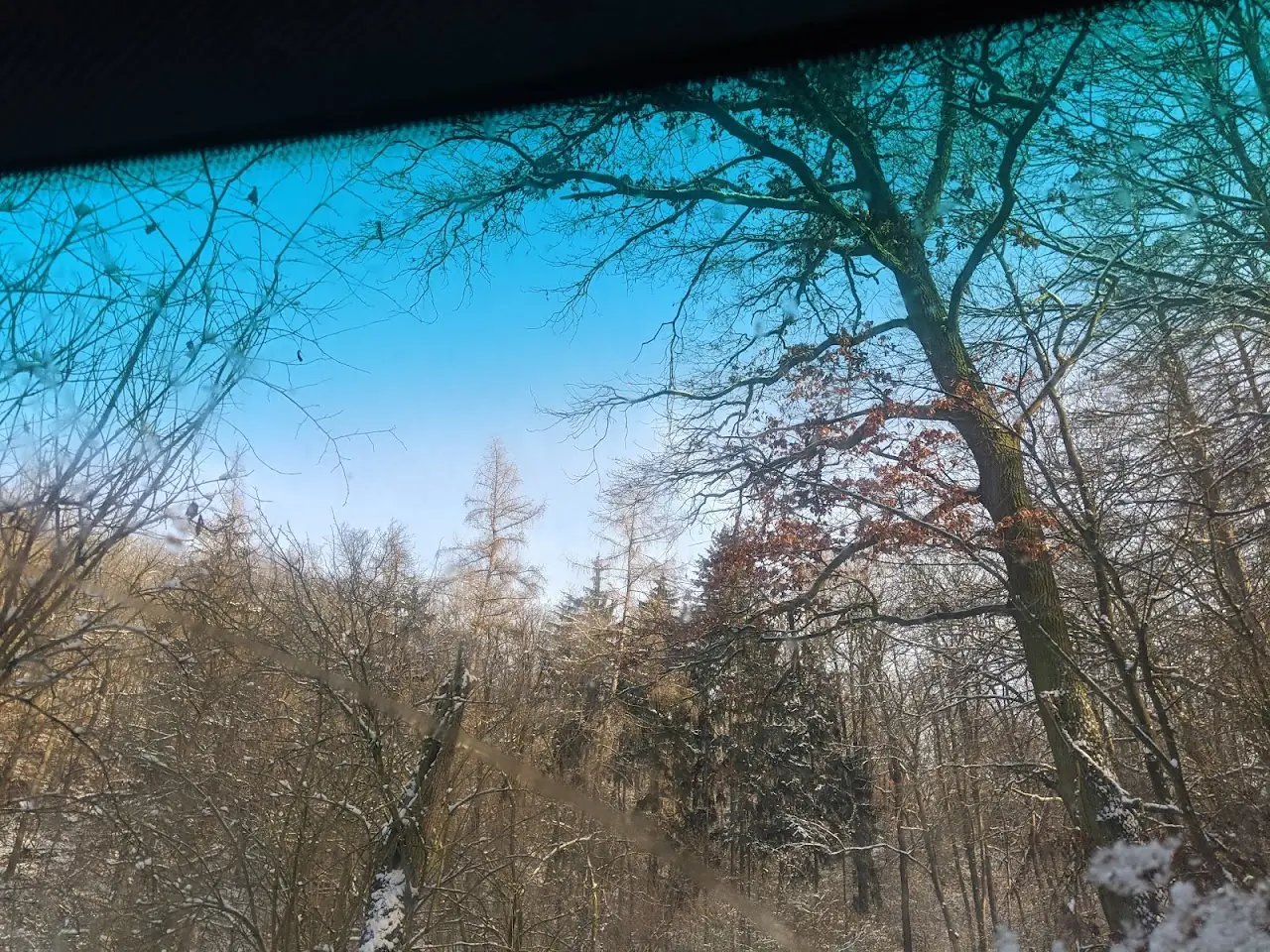 Landscape — 24