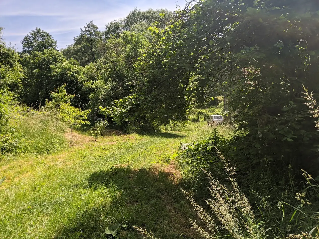Landscape — 15