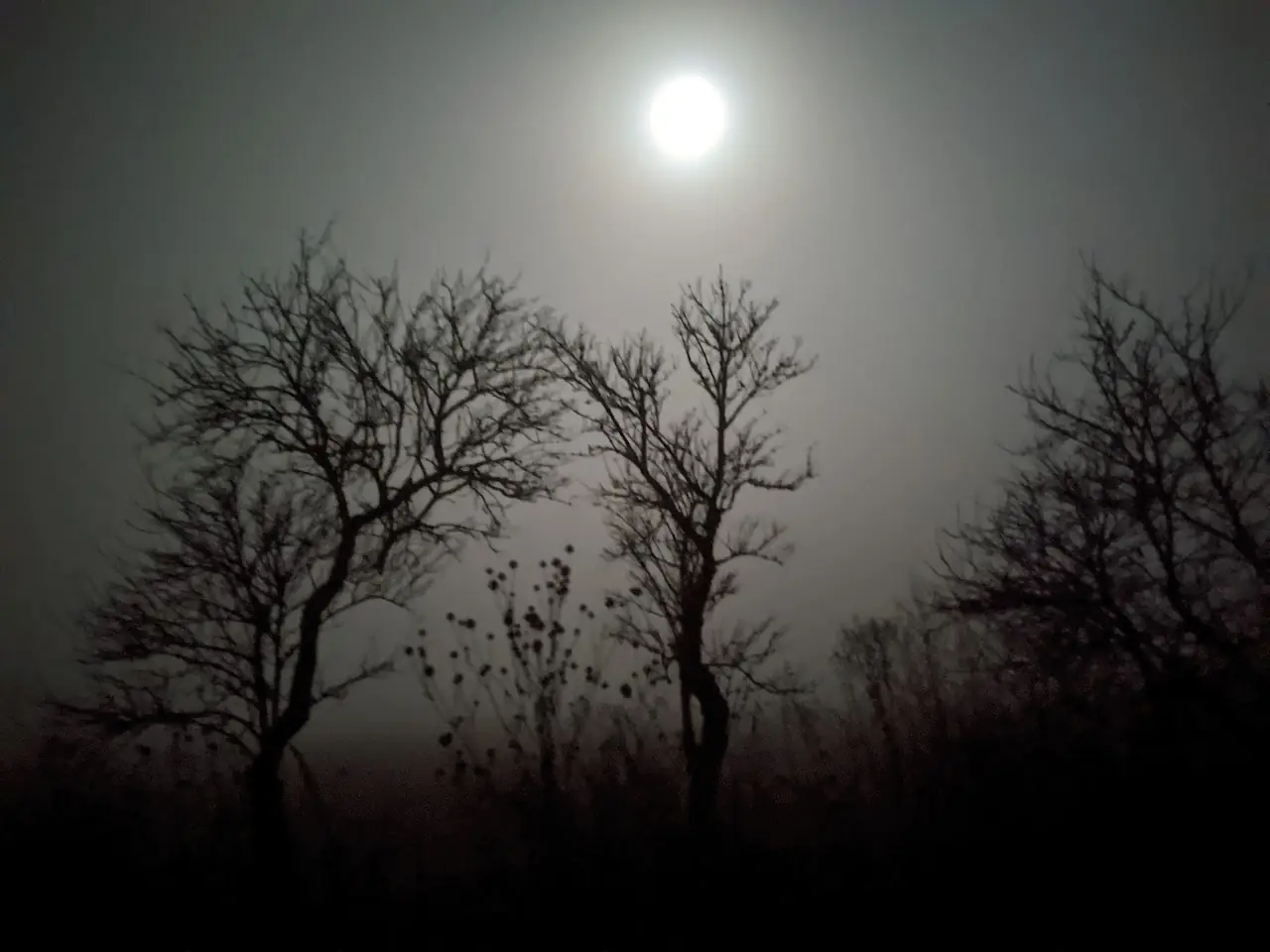 Landscape — 10