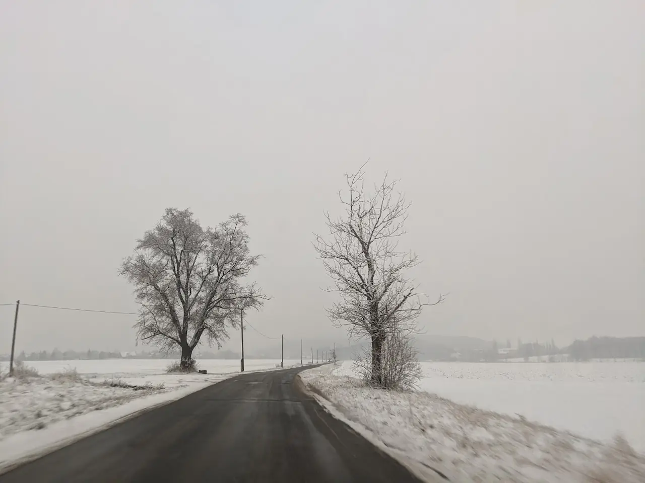 Landscape — 7