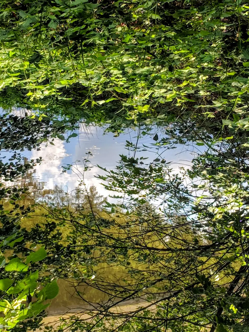 Reflections — 45