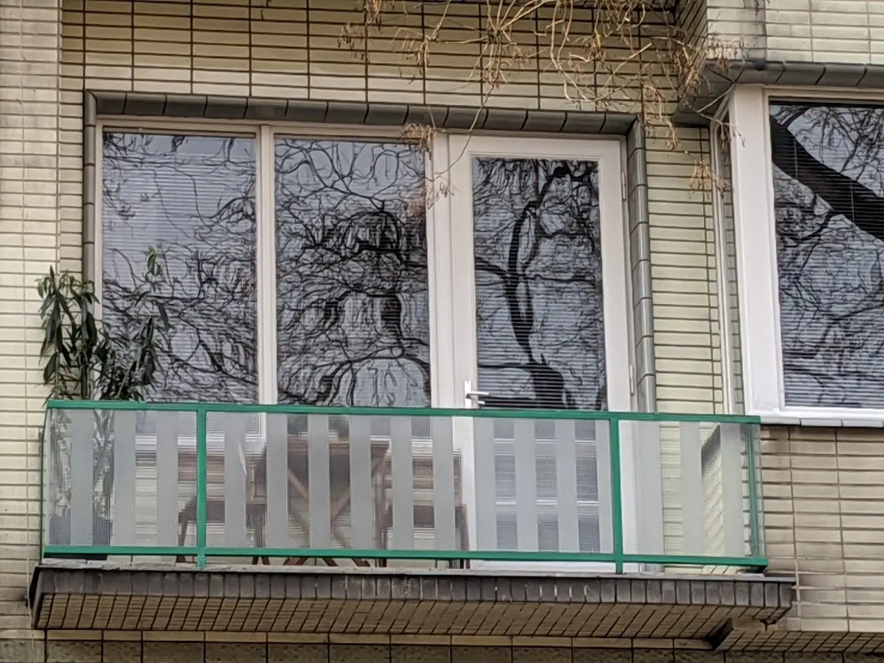 Reflections — 17