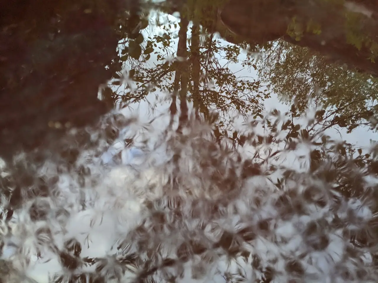 Reflections — 4