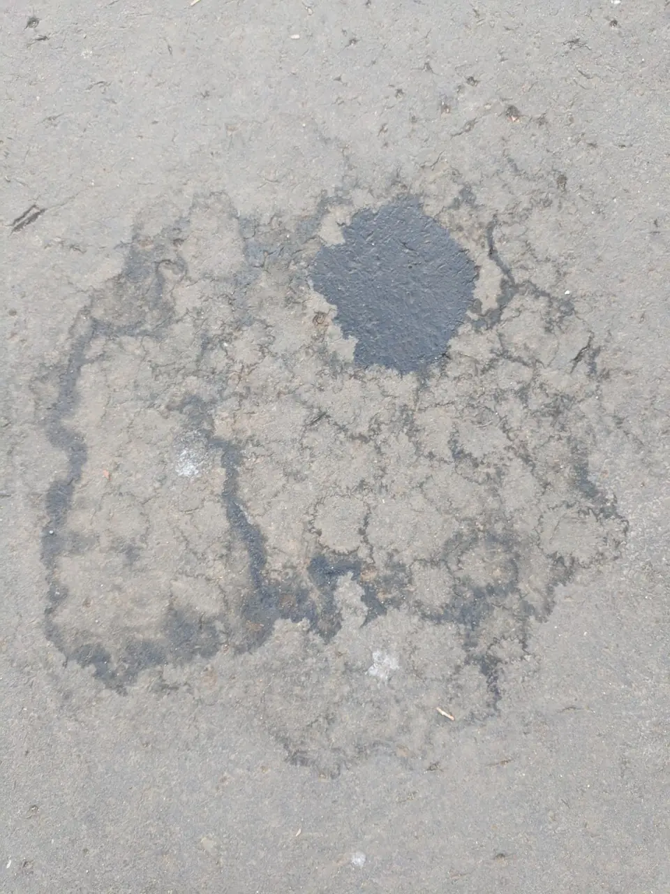 Surfaces — 269