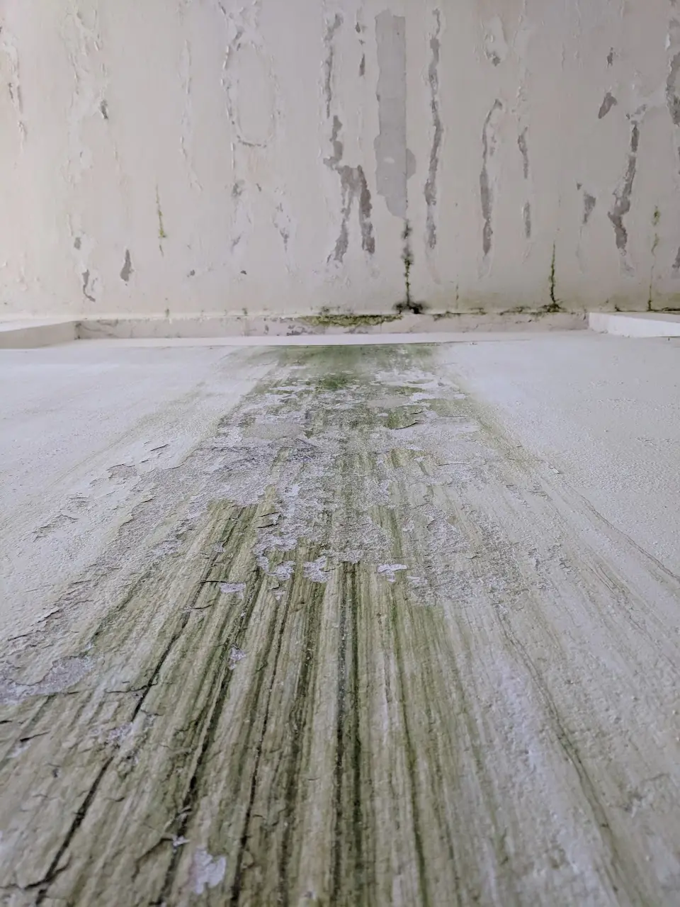 Surfaces — 259