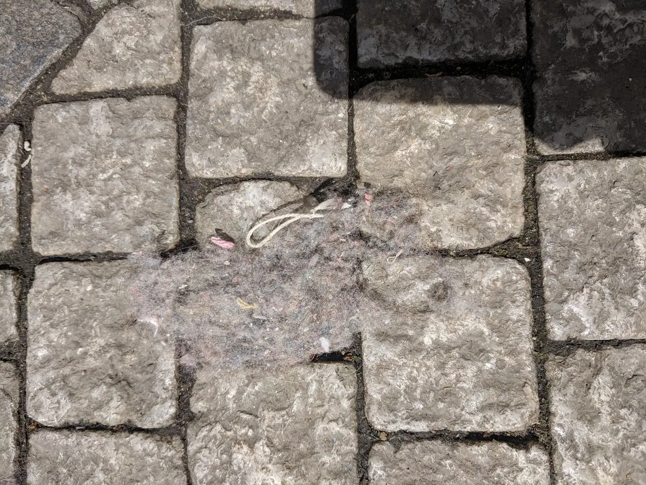 Surfaces — 163