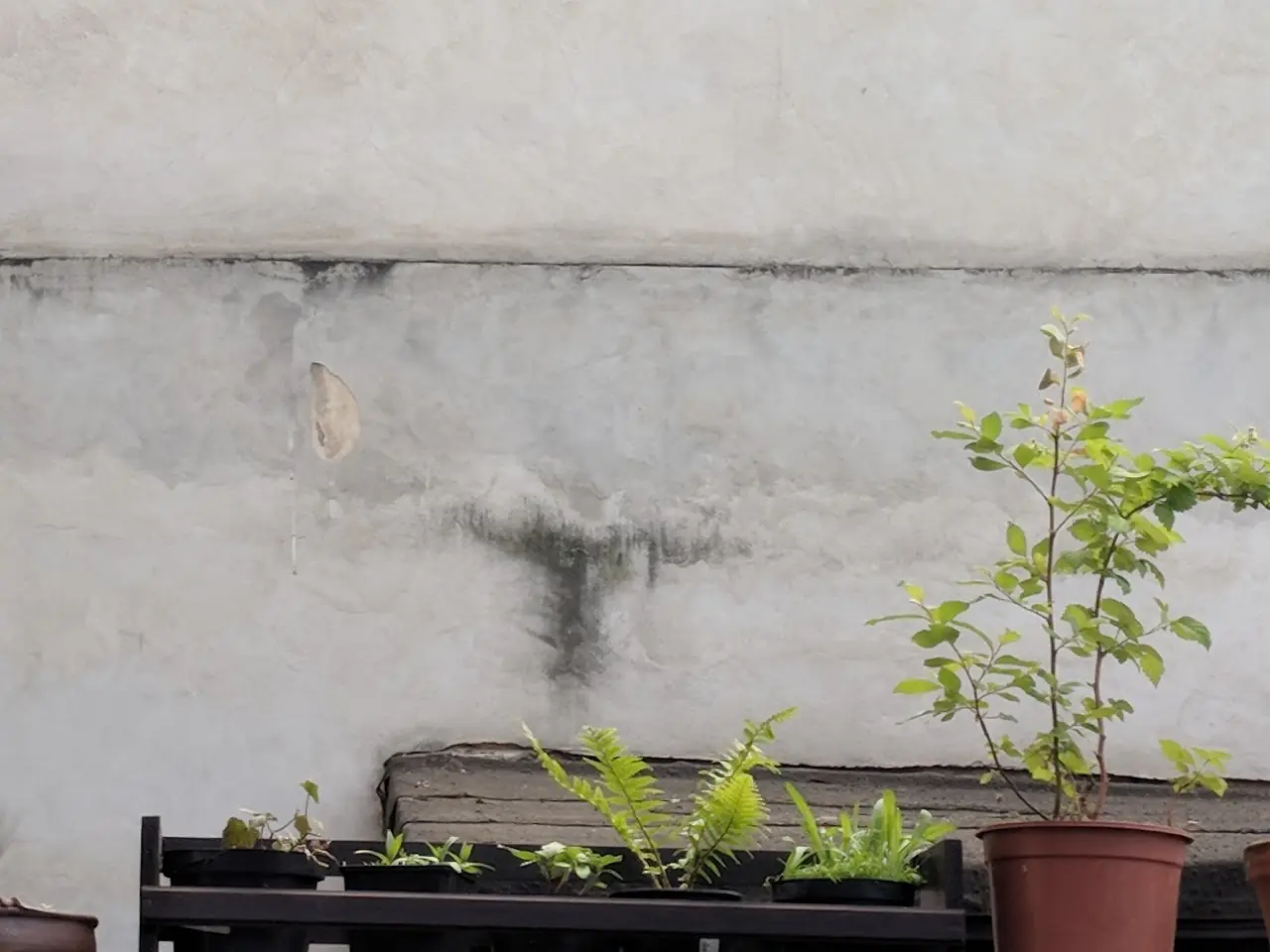 Surfaces — 162