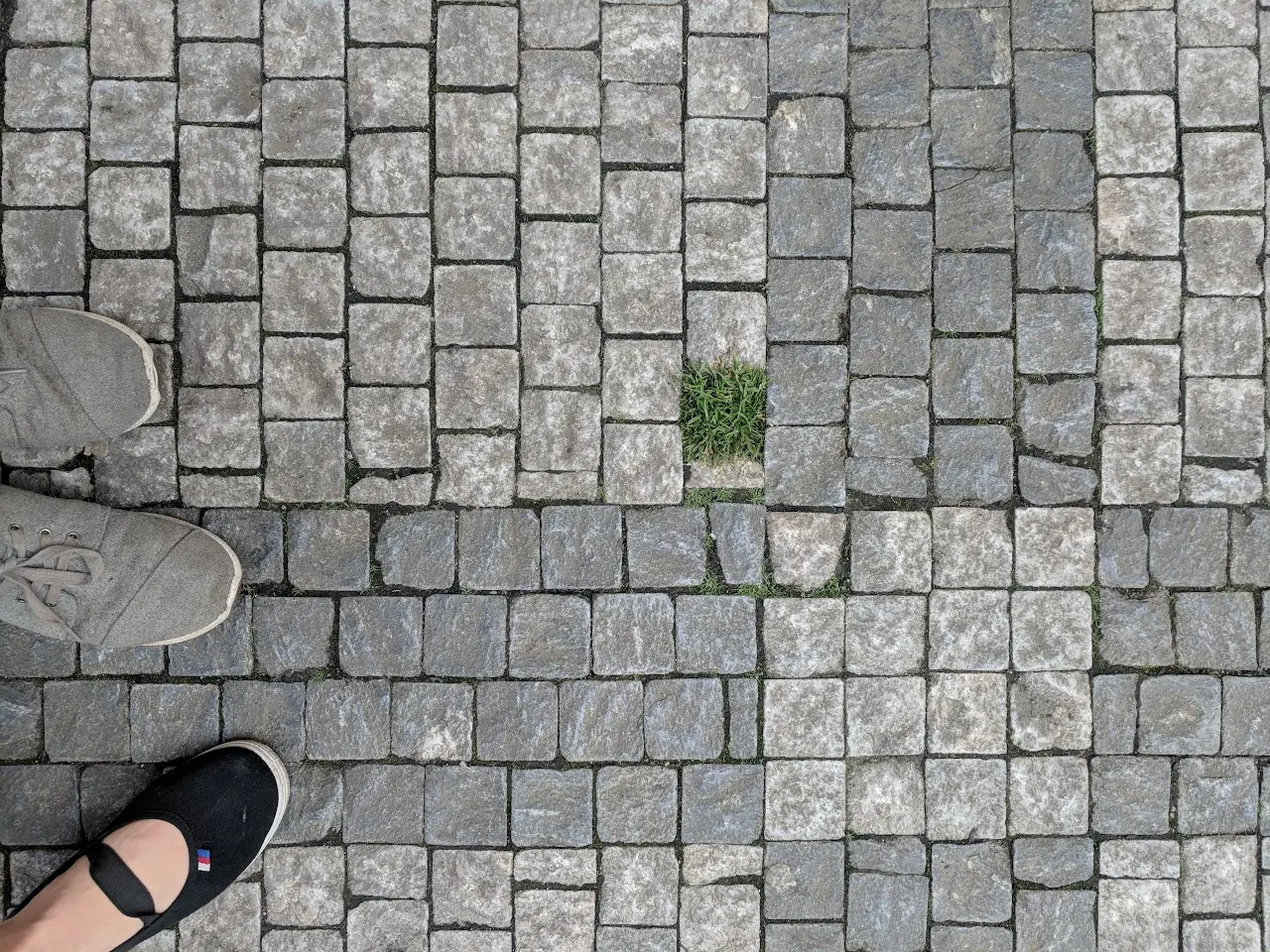 Surfaces — 142