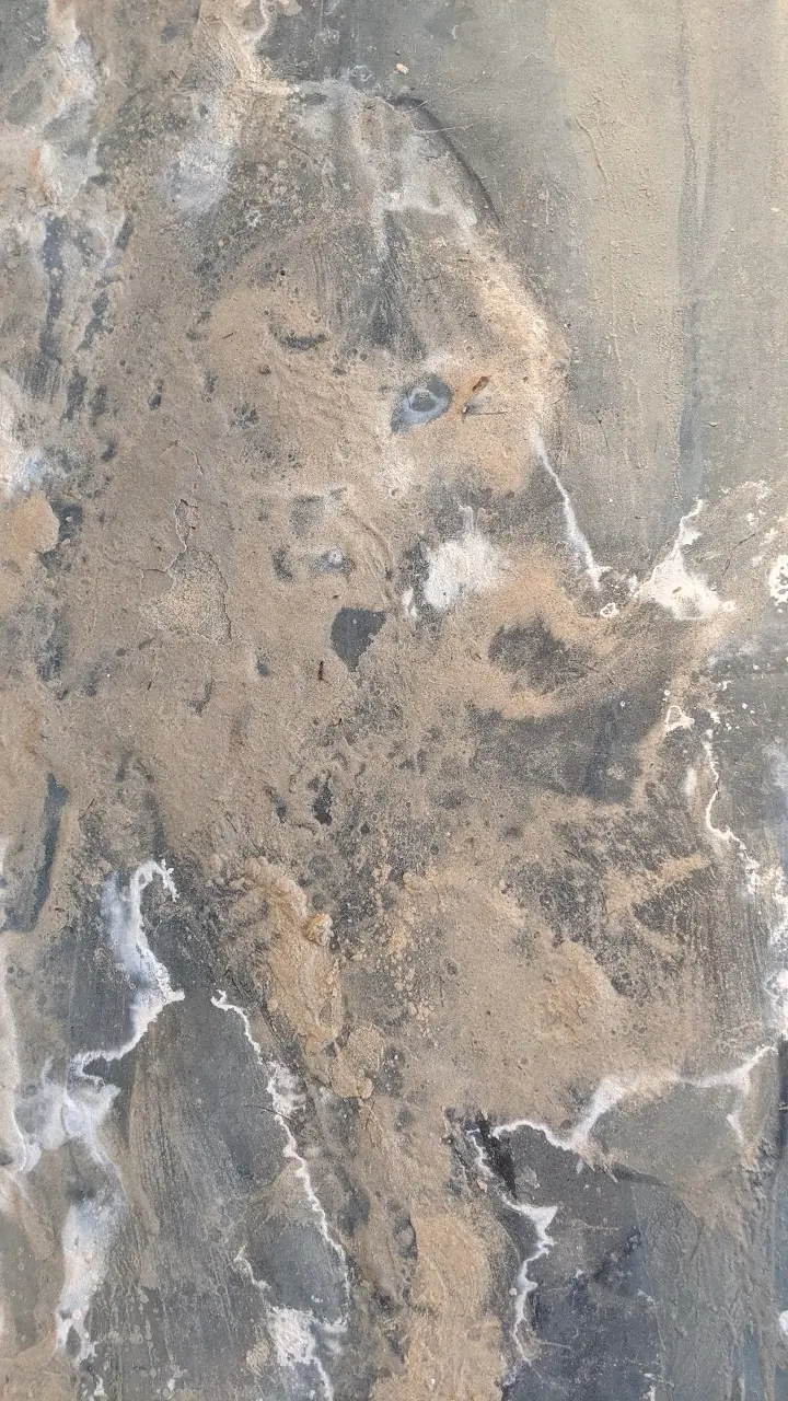 Surfaces — 94