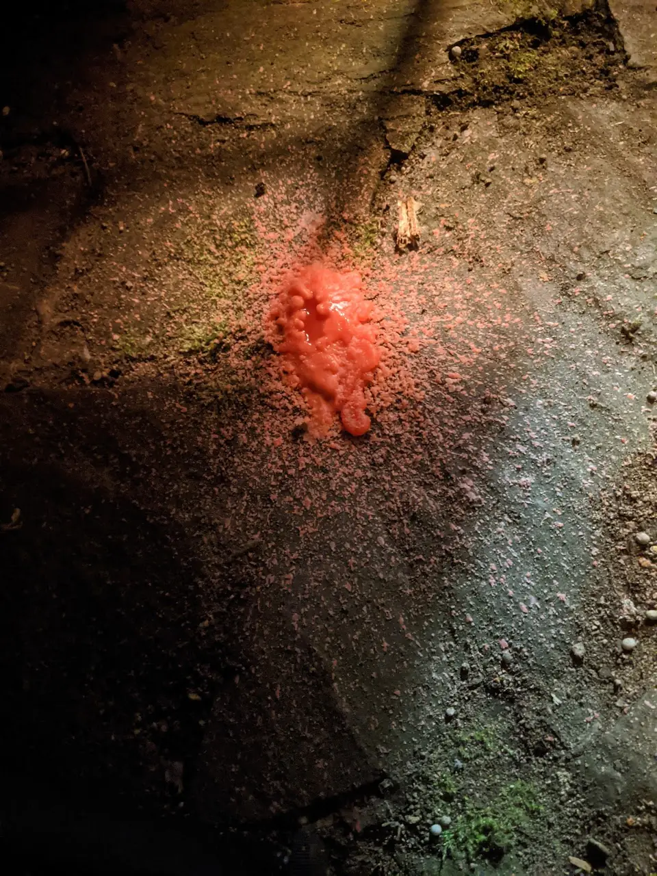 Surfaces — 57